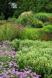 Carolside Gardens Scottish Borders Dizajn Sada Ozelenenie Sad