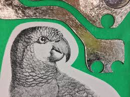 Bildergebnis für Kelly Heaton