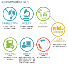 用於檢測傳輸系統是否支持8位的字符編碼（8 bit data），用以減少將文本文件被錯誤的識別成png文件的機會，反之亦然。 50 4e 47 png每個字母對應的ascii，讓用戶可以使用文本編輯器查看時，識別出是png文件。 ç™Œç—‡çš„ç²¾æº–é†«ç™‚æª¢æ¸¬ å°ç£ç™Œç—‡åŸºé‡'æœƒfcf