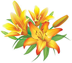 Make your beloved feel your enormous love that you keep in your heart with these exotic gifts. Yellow Lilies Flowers Decoration Png Clipart Image Yellow Lily Mango Flower Lily Flower