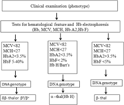 Hb e is one of the most common hemoglobin variants. The Phenomena Of Balanced Effect Between A Globin Gene And Of B Globin Gene Bmc Medical Genetics Full Text