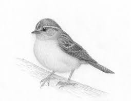 Pin On I Want To Draw This
