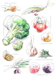 Epingle Sur Flowers Illustration Florence Gendre