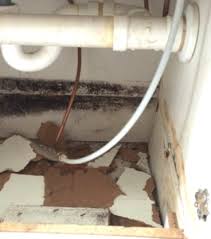 black mold inspection ..how to