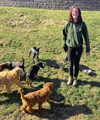 Job title starting salary ending salary. Join Our Team Wagsworth Manor Pet Resort