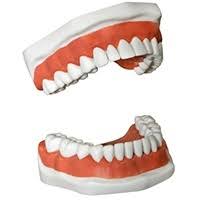 Most dentists can take an impression but the qualifier here is that it needs to be evaluated for the impression it just took. Dentures Flushing Ny Queens Family Dental Types Of Dentures