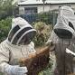 Introduction to Beekeeping class 13th/14th June event image