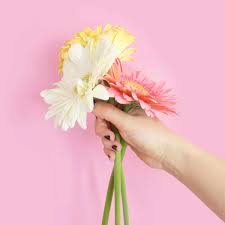 Flowers for grandma by karl jensen, national geographic edition, in english. 14 Mother S Day Gift Ideas For Grandma The Organized Mom