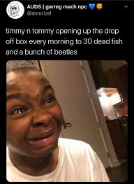 Oh Dear Animal Crossing Funny Animal Crossing Memes Animal Crossing