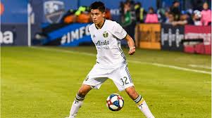 Image result for fotbal foarfeca