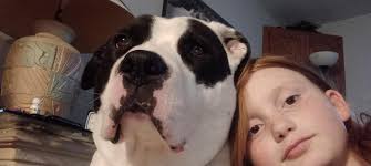 Throwback to when my boys first got boots ❤️ it did not go well....