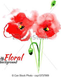 Vector Clipart Of Beautiful Watercolor Paint Red Poppy Vector Illustration Csp13737909 Search Clip Watercolor Poppies Poppy Flower Drawing Flower Drawing