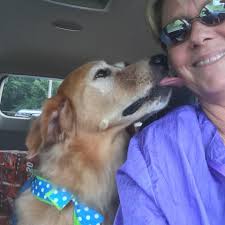 Butt's Big & Little Paws Pet Grooming