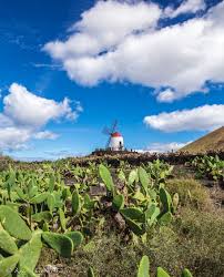 Jardin De Cactus Lanzarote Canary Islands Theitalianchica Com Spain Travel Lanzarote Spain