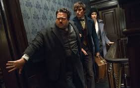 смотреть онлайн гарри поттер и орден феникса в отличном качестве Fantasticheskie Tvari I Gde Oni Obitayut Filmy 2016 Goda Garri Potter Filmy Tema Garri Pottera