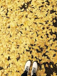 Black And Yellow Aesthetic Tumblr Yellow Aesthetic Tumblr Yellow Aesthetic Shades Of Yellow Hufflepuff Aesthetic