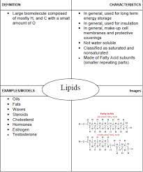 Frayer Model Template Ultimate Cheat Sheet 60 Templates Samples Template Sumo Study Skills Cell Membrane Printables Kids