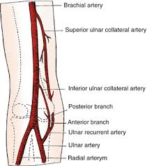 An arm micrcontroller is a load store reducing instruction set computer architecture means the core cannot directly operate with the memory. Medial Arm Perforator Flap Plastic Surgery Key