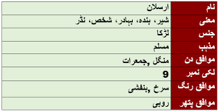 Arsalan Name Meaning In Urdu Lucky No 9 Muslim Boy Name