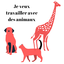 L'autorisation de travailler sur le campus des étrangers propriétaires d'animaux présentant leurs propres animaux à un événement. Travailler Avec Des Animaux Oriane