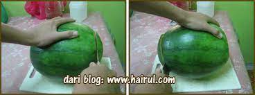 Jangan larang anak makan buah tembikai sebab ia memiliki khasiat yang cukup banyak! Cara Potong Buah Tembikai Style Hotel Chef Hairul Hissam