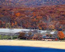 Foliage At Lake Welch Harriman State Park New York Harriman State Park State Parks Park
