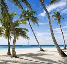 Jamaica beach is a city in galveston county, texas, united states on galveston island. Best Beaches In Jamaica Beach Tomato