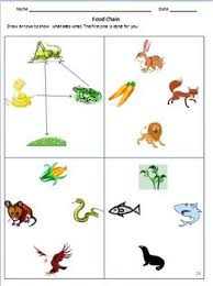 Animals Birds Insects Worksheets For Grade 1 2 Kg Google Classroom