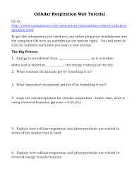 Now that we know what the reactants of cellular respiration are, let's take a look at. Cell Respiration Web Tutorial