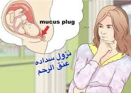 الشعور بأعراض مختلفة كالقيء والغثيان و الصداع وارتفاع في درجة الحرارة والحمى. Ù…Ø§ Ù‡ÙŠ Ø¹Ù„Ø§Ù…Ø© Ø§Ù„ÙˆÙ„Ø§Ø¯Ø© Ù…Ù† Ø¹Ù„Ø§Ù…Ø§Øª Ø¯Ø®ÙˆÙ„ Ù…Ø±Ø­Ù„Ù‡ Ø§Ù„Ù…Ø®Ø§Ø¶ Ù‡Ùˆ Ø¸Ù‡ÙˆØ± Ø§Ù„Ø¹Ù„Ø§Ù…Ù‡ Ø§Ùˆ Ù†Ø²ÙˆÙ„ Ø³Ø¯Ø§Ø¯Ø© Ø¹Ù†Ù‚ Ø§Ù„Ø±Ø­Ù… Ø§Ù„ØªÙŠ ØªØ³Ù…Ù‰ Bloody Show Ùˆ Ù‡ÙŠ Ø¹Ø¨Ø§Ø±Ø© Ø¹Ù† Ø¥ÙØ±Ø§Ø²Ø§Øª Ù…Ù‡Ø¨Ù„ÙŠØ© Ù…Ø®Ø§Ø·ÙŠØ© Ù…Ù…Ø²ÙˆØ¬Ø© Ø¨Ø®ÙŠÙˆØ· Ø¯Ù…