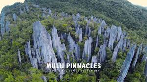 We did not find results for: Journey To Mulu National Park Pinnacles Sarawak Malaysia Ultra Hd 4k Youtube