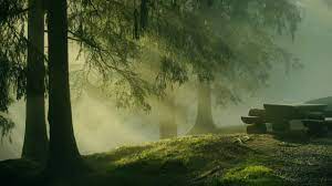 Beautiful Day Relaxing Inspirational Music With Beautiful Wallpaper Hd Wallpaper Relaxing Music Natur Beautiful Wallpaper Hd Landscape Waterfall Wallpaper