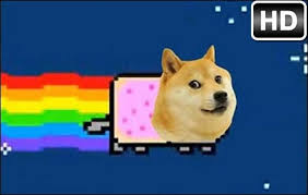 For the week (7 days). Doge Wallpaper Posted By Zoey Simpson