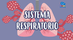 Estás en el sitio adecuado, a continuación aparecerá un listado con una selección de los mejores juegos de cartas para que puedas divertirte con tu familia o amigos. Sopa De Letras El Sistema Respiratorio Juegos Para Ninos Happy Learning