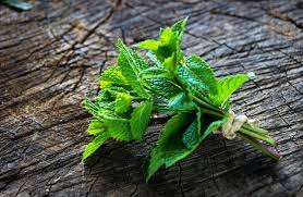 Bonjour, vous pouvez congeler la menthe sans problème. Les 5 Meilleures Techniques De Conservation Pour La Menthe Fraiche