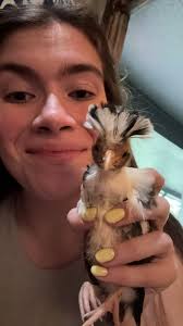 I thought yall would appreciate Joe Dirt. I hatched this crazy little thing  about 3 weeks ago🥴🤣