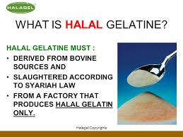 Halal fish gelatin powder china factory supply halal kosher fish gelatin powder. Halal Gelatin An Overview Its Impact On Halal Industry Ppt Video Online Download