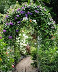 Hitachi, pesona keindahan lautan bunga biru di negeri. Taman Bunga Terindah Di Dunia 768x960 Wallpaper Teahub Io