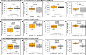 We have a technically strong and dedicated npi team, coupled with great communication and management bcm electronics corporation sdn bhd is part of the promise of integrity supplier alliance, which was. The Barley Mutant Multiflorus2 B Reveals Quantitative Genetic Variation For New Spikelet Architecture Biorxiv