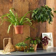 Start by tracing around each piece of art on kraft paper, then cut out. Diy Indoor Hanging Plant Holders Better Homes Gardens
