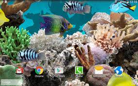 Follow the vibe and change your wallpaper every day! Coral Fish 3d Live Wallpaper 1 0 6 Download Android Apk Aptoide