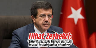 Nihat Zeybekci Seferihisar Daki Hayvan Barinagi Insani Insanligindan Utandirir