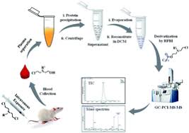 Processing tandem mass spectrometry data for metabolite identication and structural department of molecular biology and the center for mass spectrometry, the scripps research. Gas Chromatography Tandem Mass Spectrometry Based Detection Of Half Nitrogen Mustards In Plasma As A New Biomarker Of Nitrogen Mustard Exposure Analytical Methods Rsc Publishing
