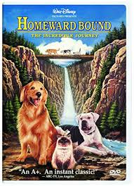 Dog travels for 2 days to meet his owner.homeward bound: Homeward Bound Incredible Journey Dvd Region 1 Ntsc Us Import Amazon De Dvd Blu Ray