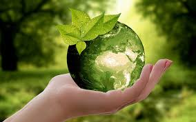 Resultado de imagen de naturaleza
