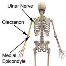 Ulnar Nerve Compression Physioadvisor