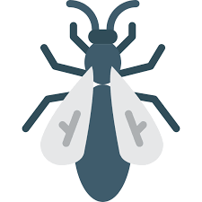 Town & country pest control store hours. Pest Control Natural Pest Control Company