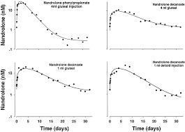 pharmacokinetics and pharmacodynamics of nandrolone esters