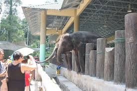 Tempat menarik di temerloh bisa menjadi destinasi kunjungan wisata yang menarik untuk menghabiskan waktu bercuti anda dan keluarg. Datang Temerloh Nak Bercuti Dimana Ikuti Senarai Tempat Menarik Di Temerloh