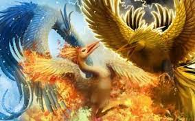 We did not find results for: 1700 Pokemon Hd Wallpapers Background Images